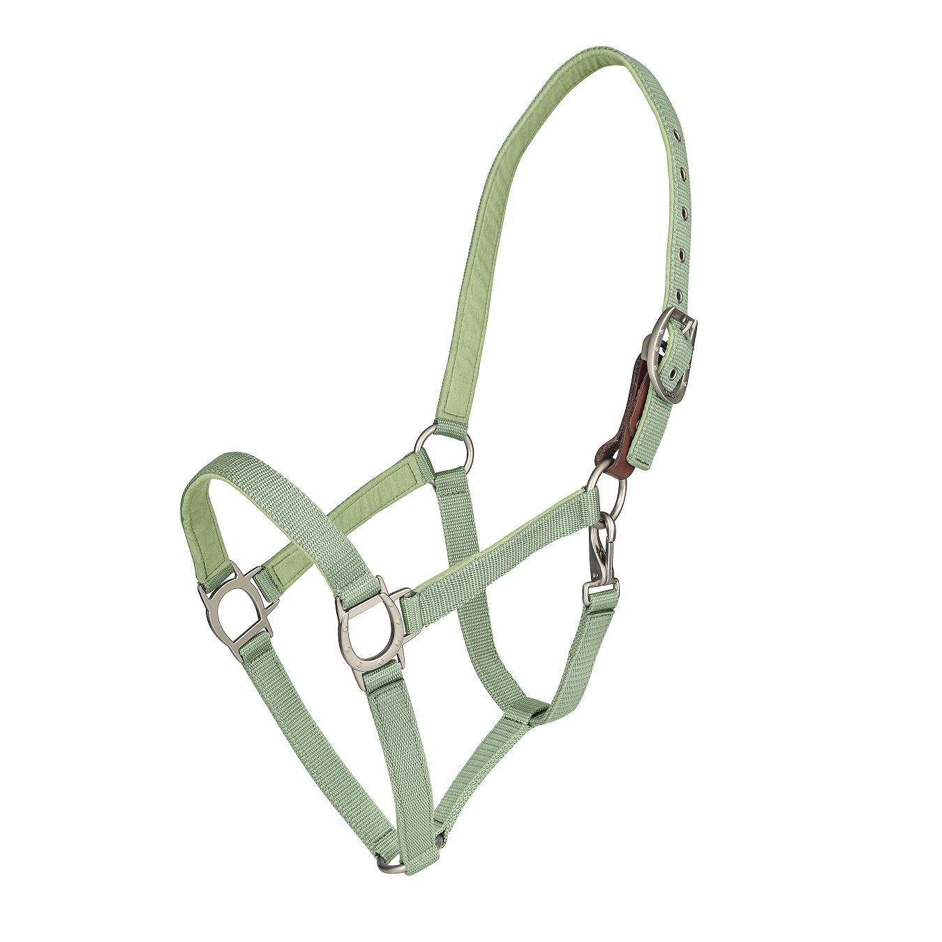 Green horse halter