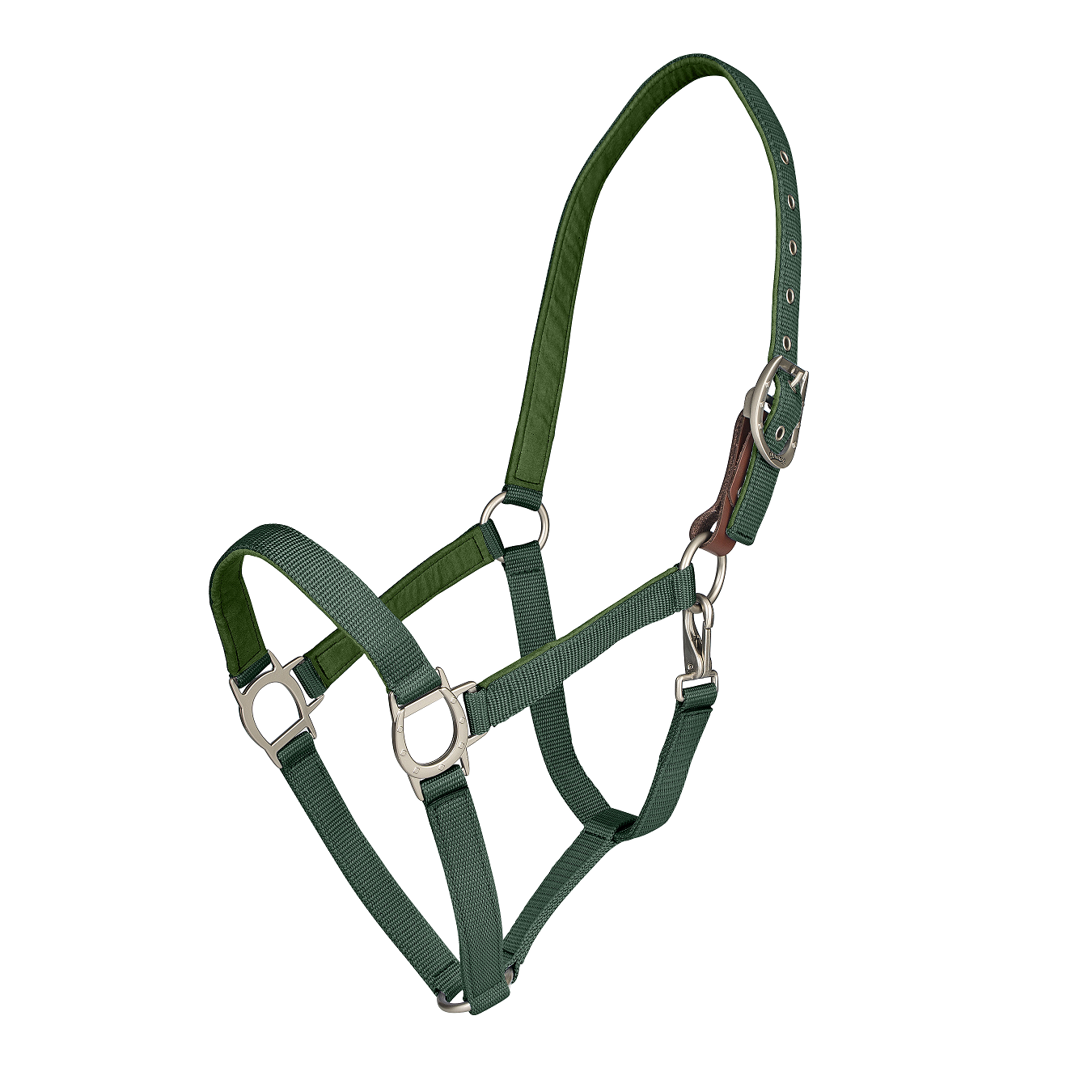 Green horse halter