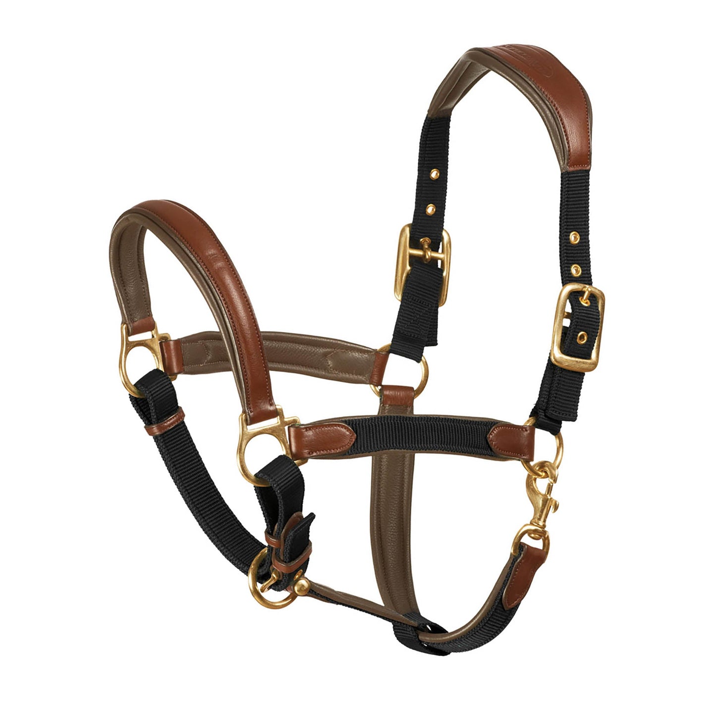 Horse halter with brown leather and black straps on a white background