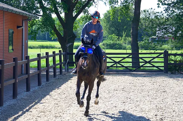 horse sun visor