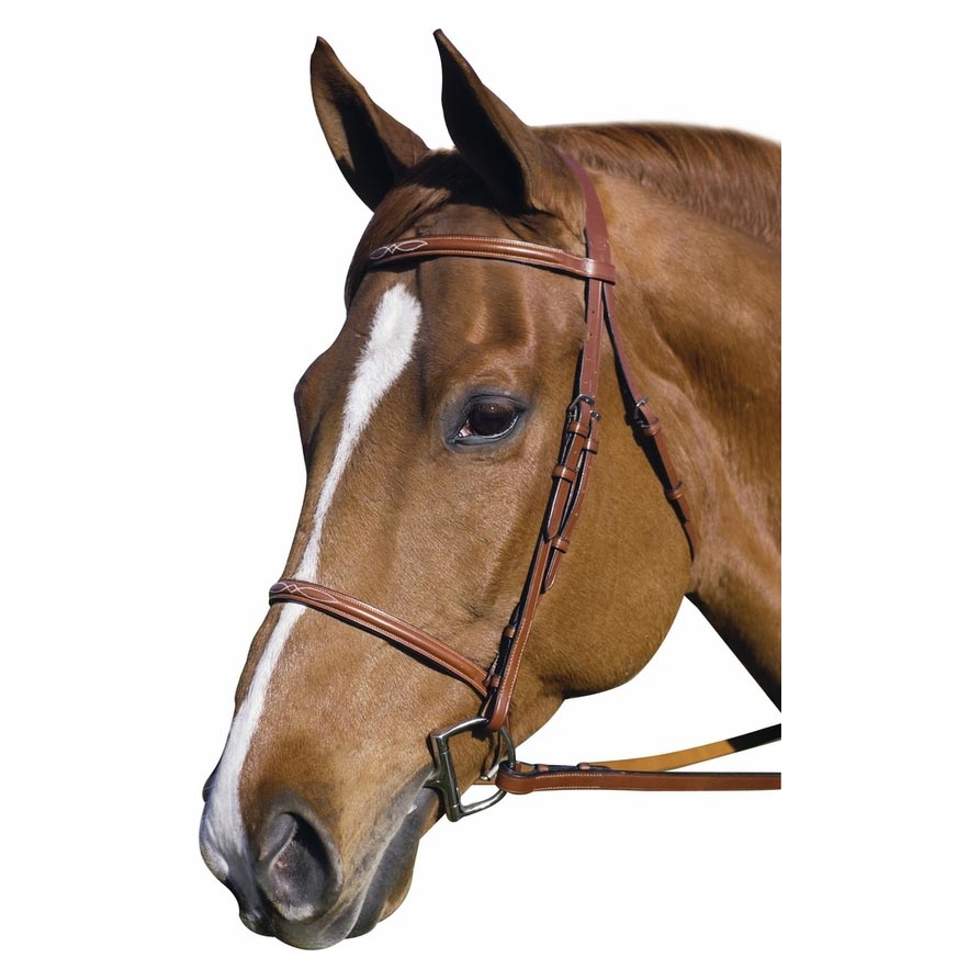 brown bridle
