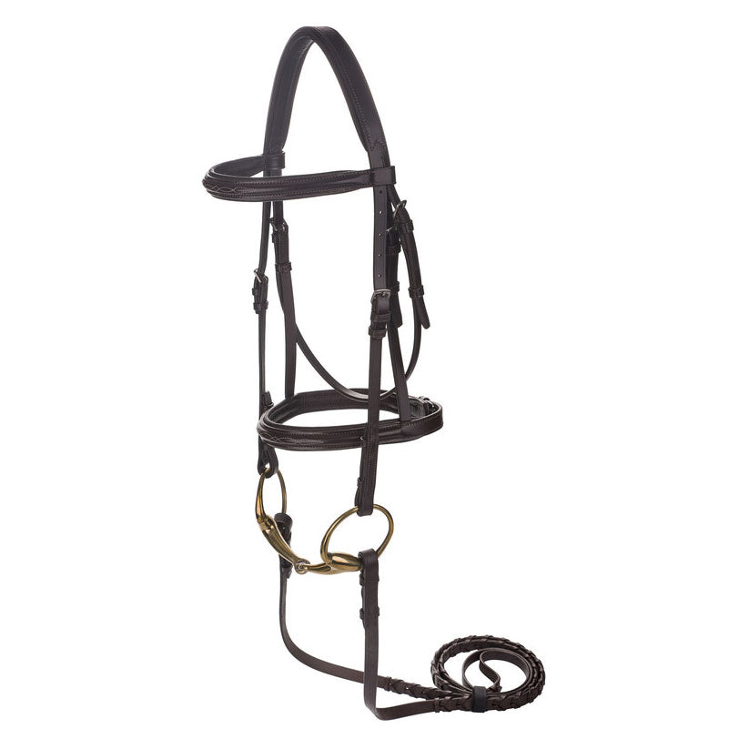 brown leather bridle