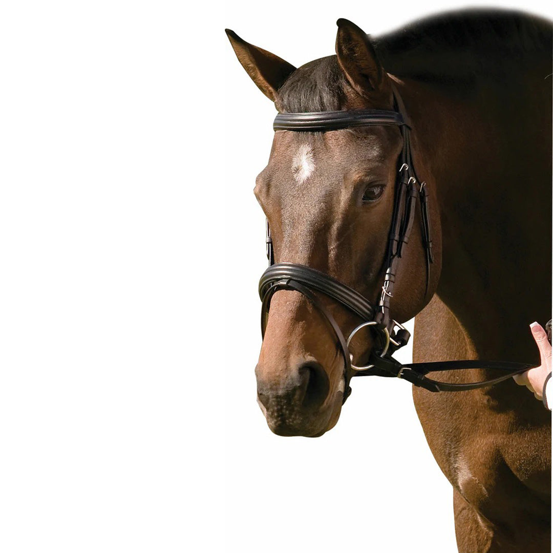 brown dressage bridle