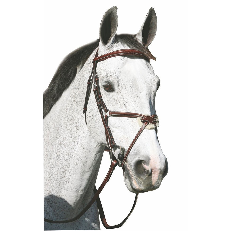 gfigure 8 horse bridle