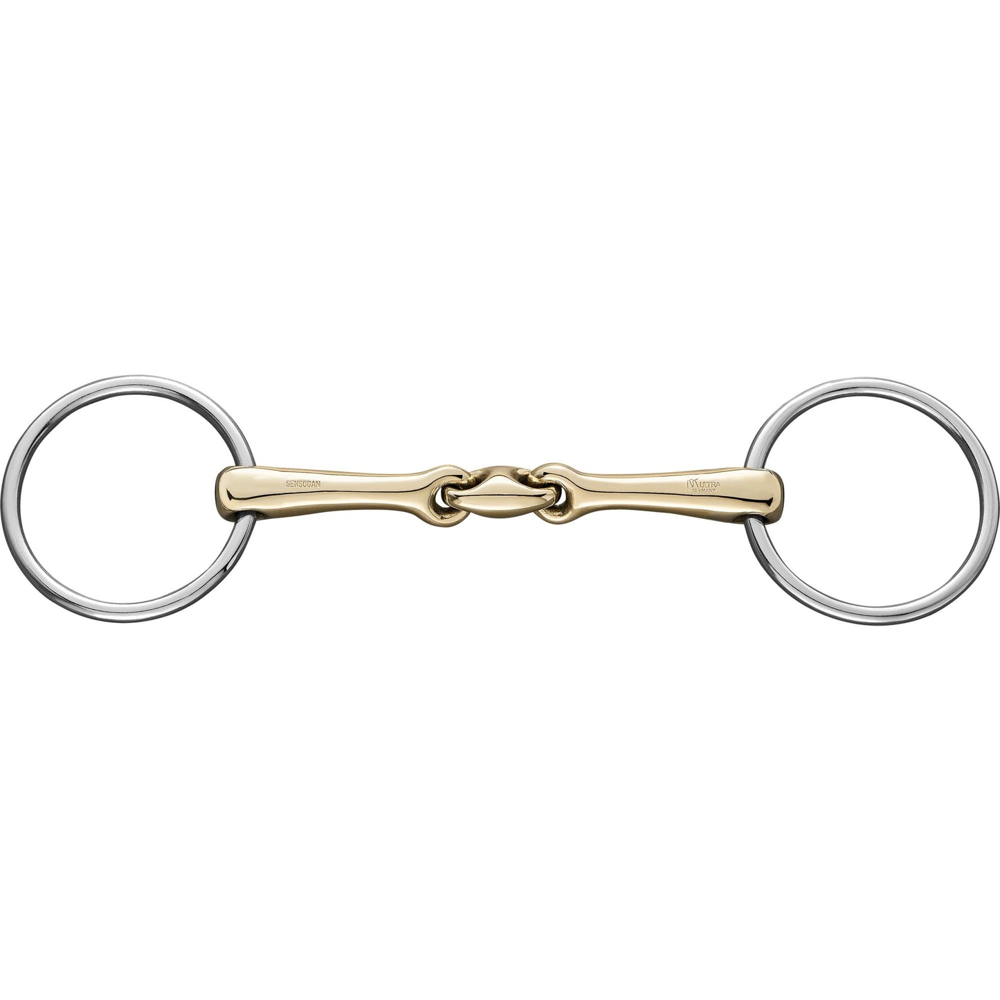horse bridle