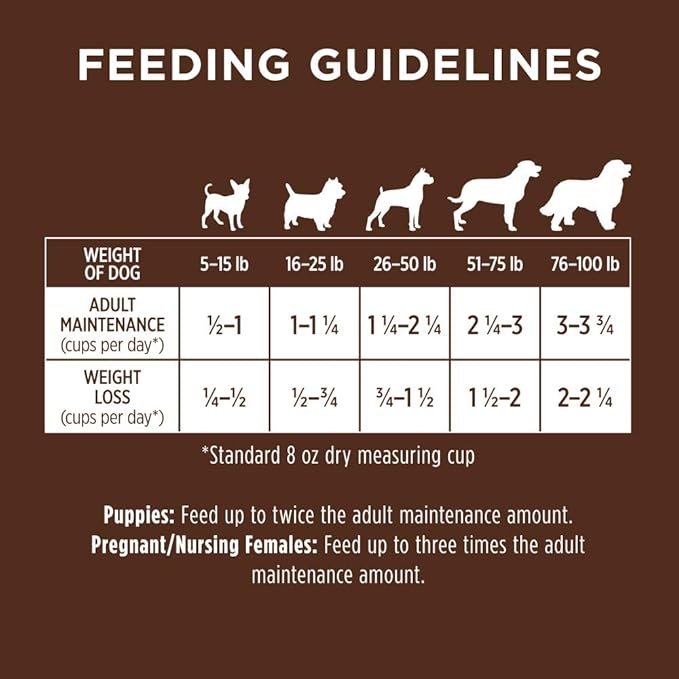 Original Beef Dry Dog Food, 20 lb. Bag