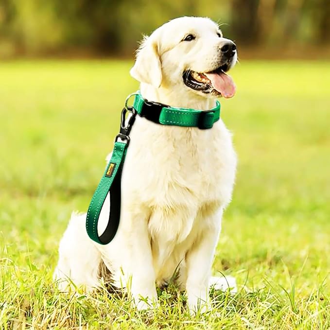 PLUTUS PET 10” Short Dog Leash, Reflective Nylon Padded Handle, Strong Traffic Leash with Carabiner Clip, Perfect for Large or Medium Dogs(10”,Green