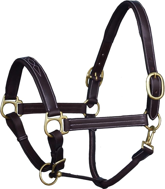 Exion Leather Halter with Fancy Stitching