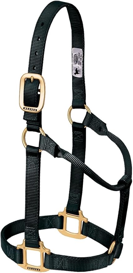 Weaver Equine Nylon Horse Halter, Triple-Ply Cheek Design, Original Non Adjustable Halters for Horses in Black, Average Size