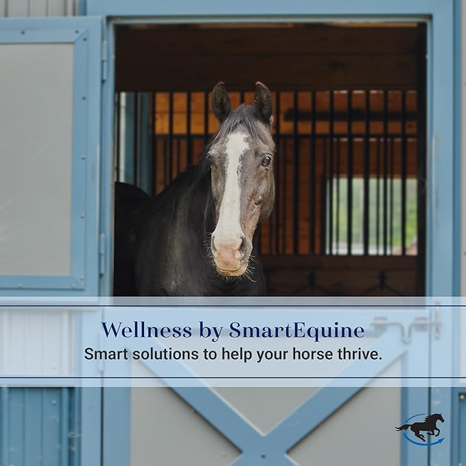 SmartEquine Slow Feed Hay Bag