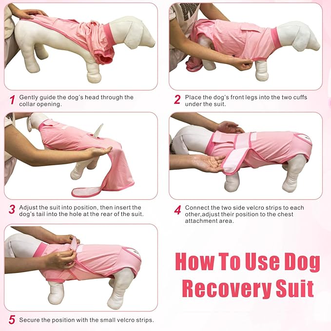 Idepet Dog Recovery Suit Female,Dogs Onesie Suit Surgery Male Breathable Pet Bodysuit for Spay Neuter E-Collar & Cone Alternative Surgical Suit Puppy Abdominal Anti Licking Wounds Shirt (Blue, XS)
