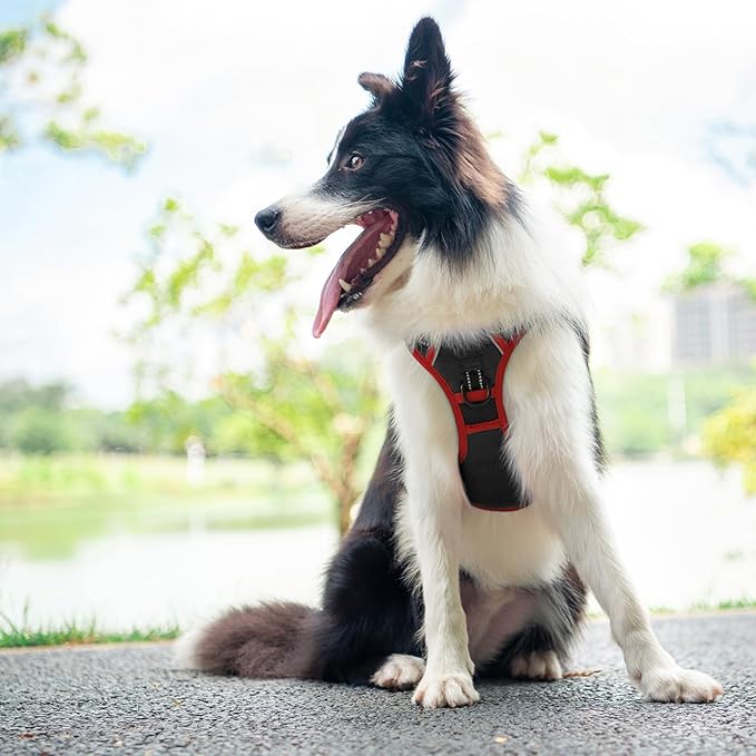 PHOEPET 2019 Upgraded No Pull Dog Harness, Reflective Adjustable Vest, with a Training Handle + 2 Metal Leash Hooks+ 3 Snap Buckles +4 Slide Buckles(S, Black)