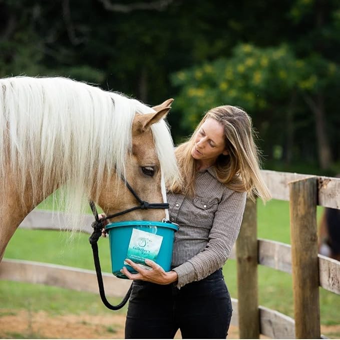 Gallagher's Water Hydration Treat, FEI Compliant