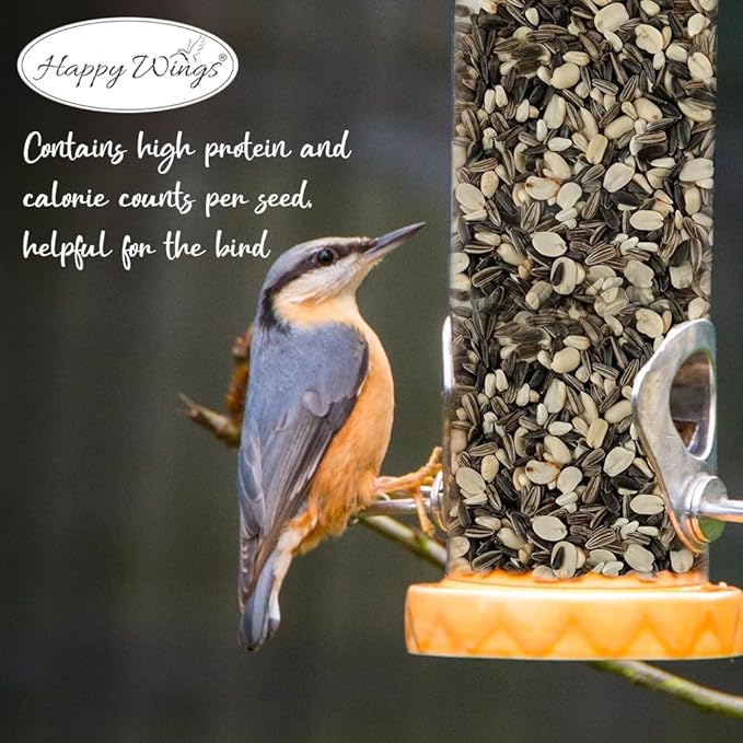 Songbird Blend Bird Food, Mix of Sunflower Seeds/Kernels, Safflower Seeds and Peanuts, 5 Pounds | No Grow Seed | Bird Seed for Wild Birds