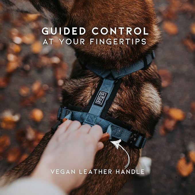 MADE TO ROAM Premium Explorer Harness - Y-Shaped Dog Harness with Adjustable Durable Nylon, Soft Padding, Metal Buckles and Leather Handle for Small, Medium, Large Dogs (Maine Marina, Size 6)