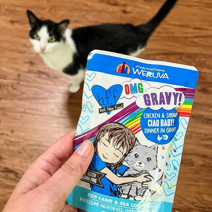 Weruva B.F.F. OMG - Best Feline Friend Oh My Gravy!, Ciao Baby! with Chicken & Shrimp in Gravy Cat Food, 2.8oz Pouch (Pack of 12)