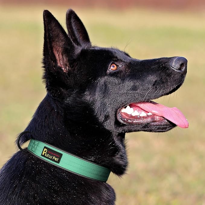 Plutus Pet Tactical Dog Collar, Reflective, Adjustable Heavy Duty Dog Collar, Soft Padded and Comfortable, for Small Medium and Large Dogs (Teal, S)