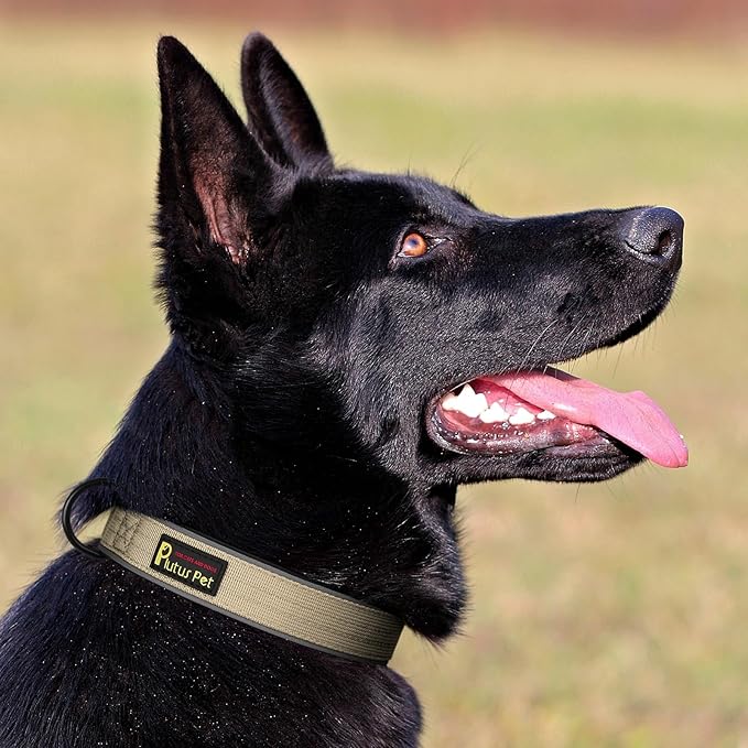 Plutus Pet Tactical Dog Collar, Reflective, Adjustable Heavy Duty Dog Collar, Soft Padded and Comfortable, for Small Medium and Large Dogs (Beige, M)