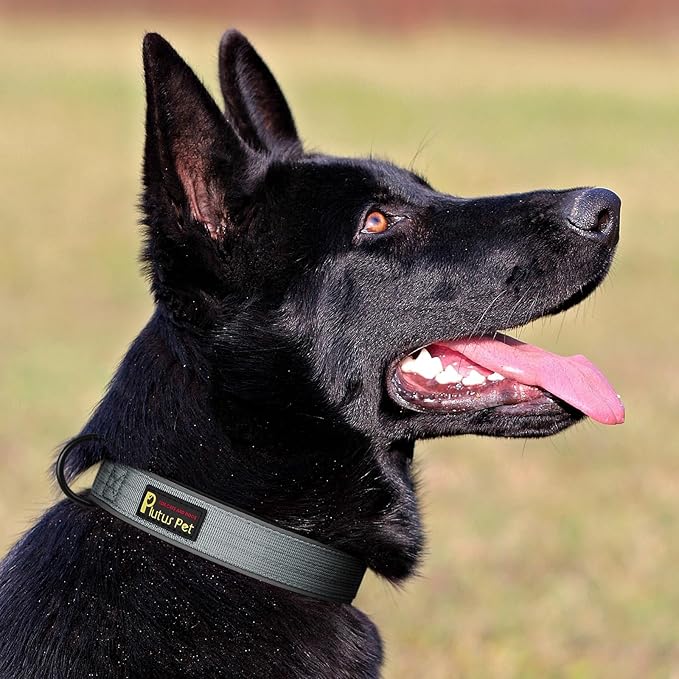Plutus Pet Tactical Dog Collar, Reflective, Adjustable Heavy Duty Dog Collar, Soft Padded and Comfortable, for Small Medium and Large Dogs (Gray, L)