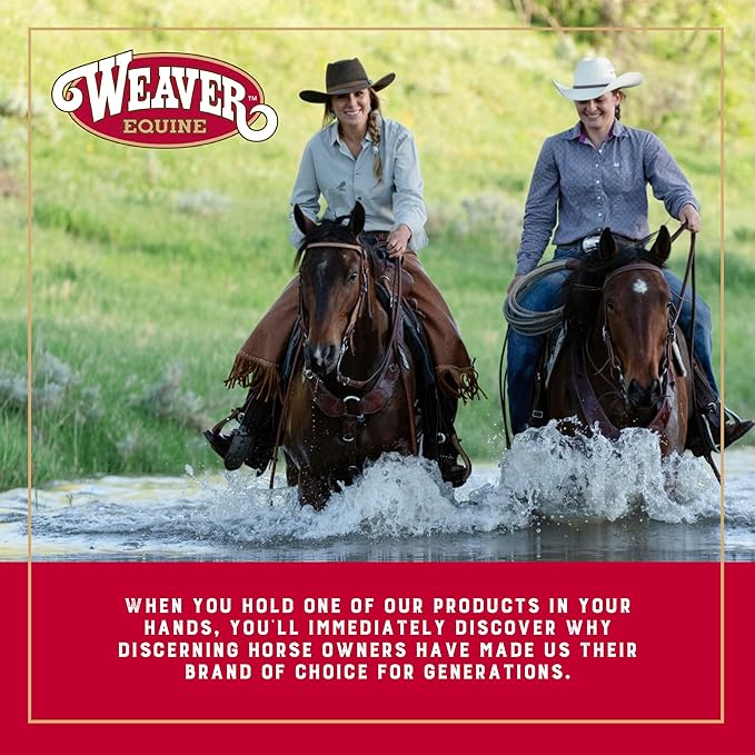 Weaver Equine Breakaway Halter with Foam Padding, Average Size