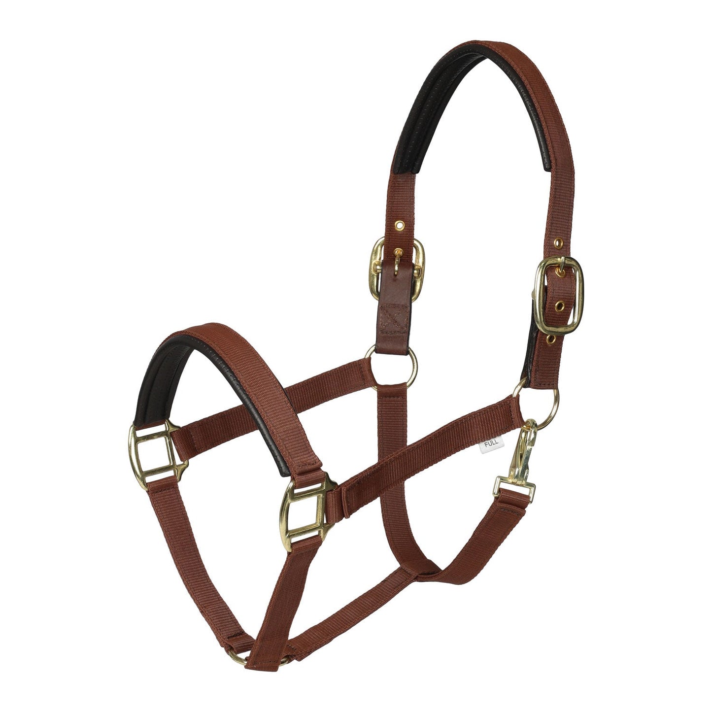 horse halter
