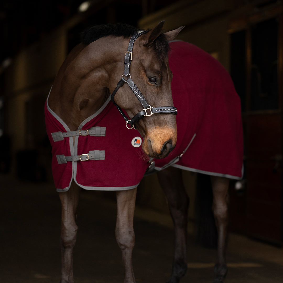 red horse cooler