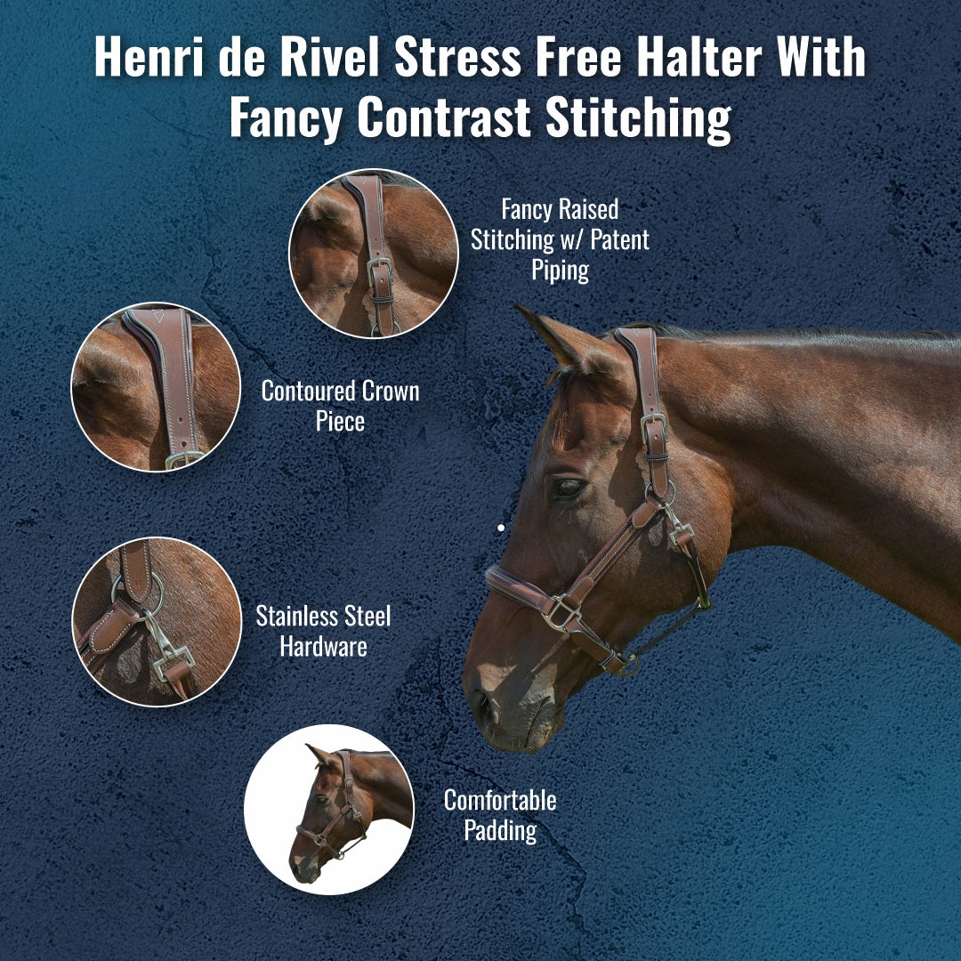 Breeches.com Henri de Rivel Stress Free Halter With Fancy Contrast Stitching Havana - Halters