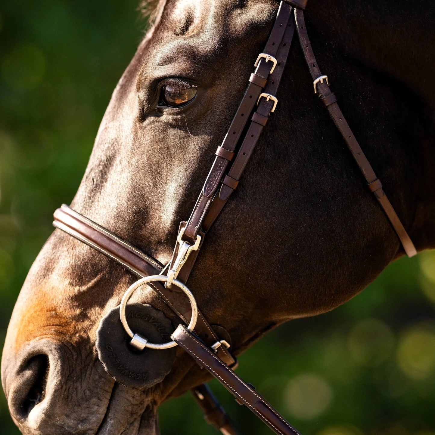 brown leather bridle