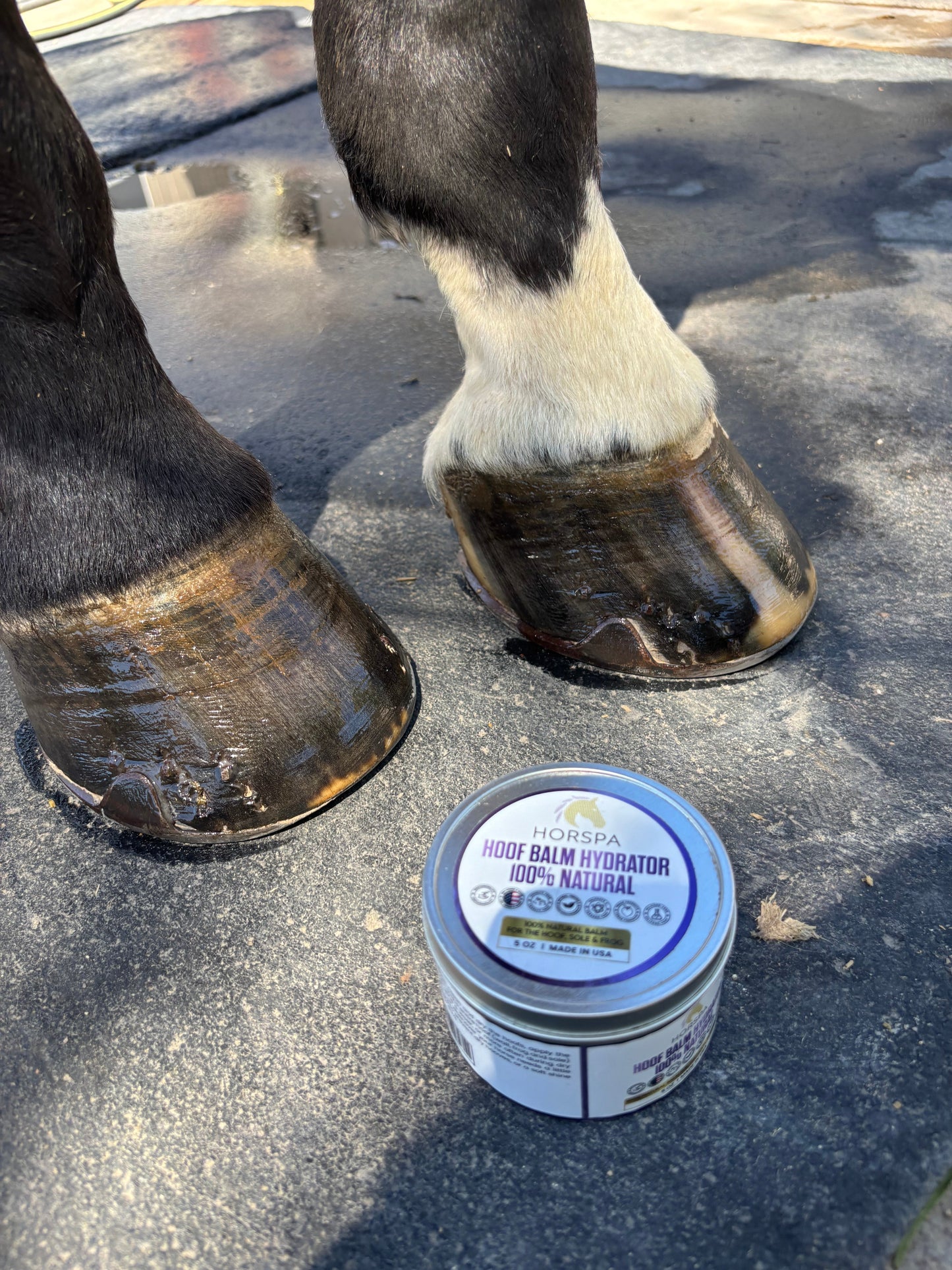 hoof balm