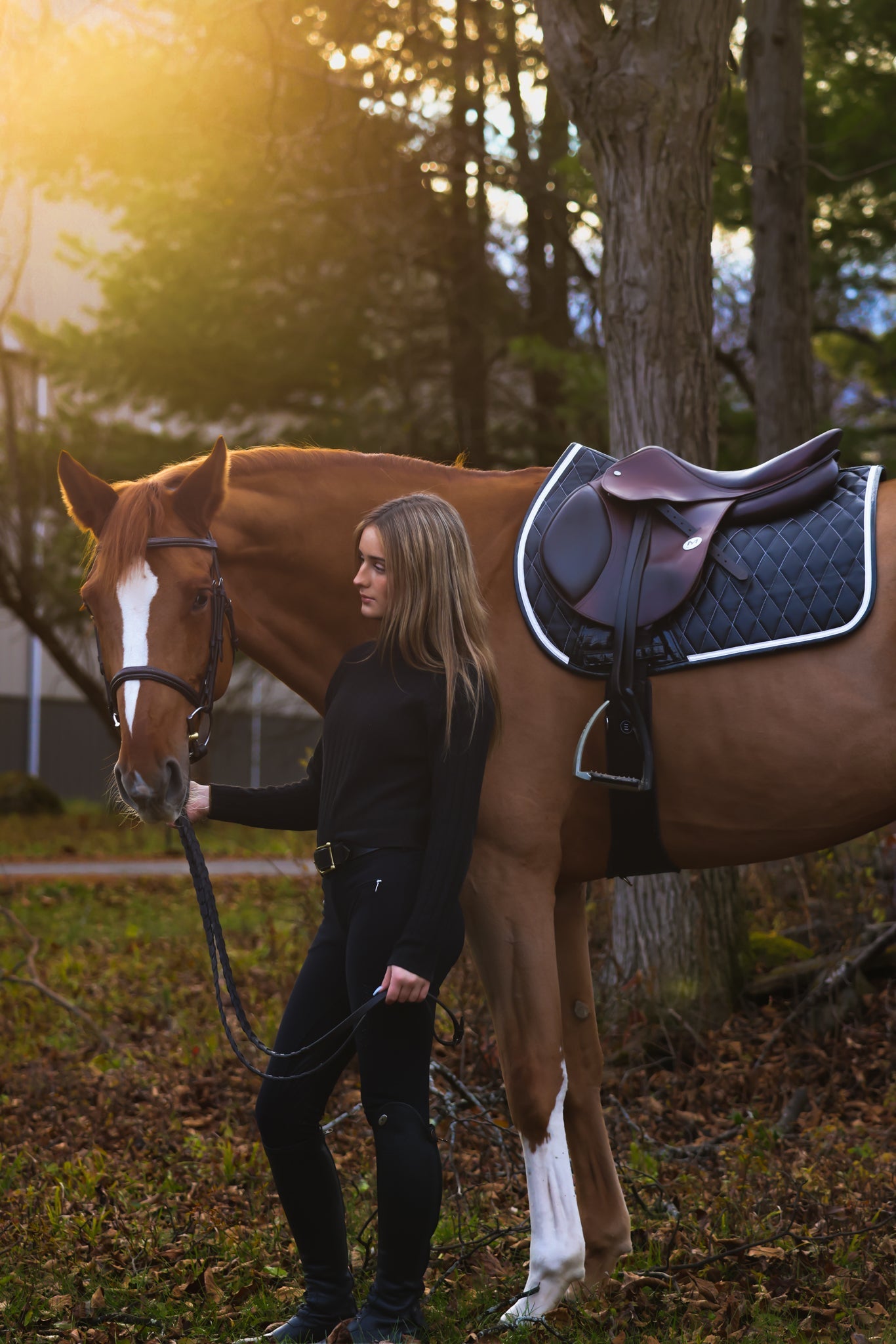 black quilted saddle pad