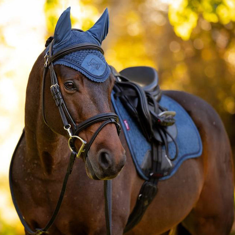 Horse Wear