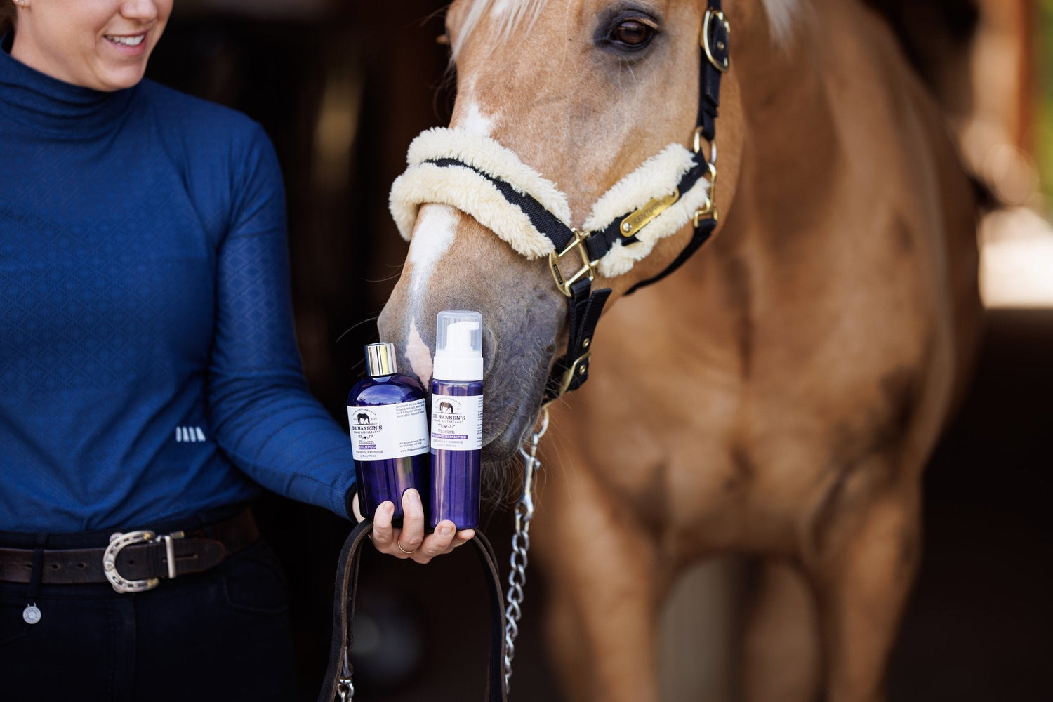 Horse Care & Grooming