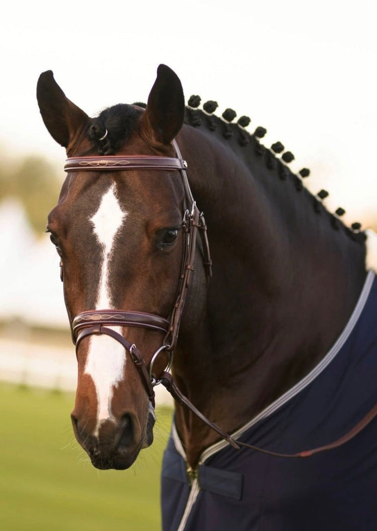 Bridles