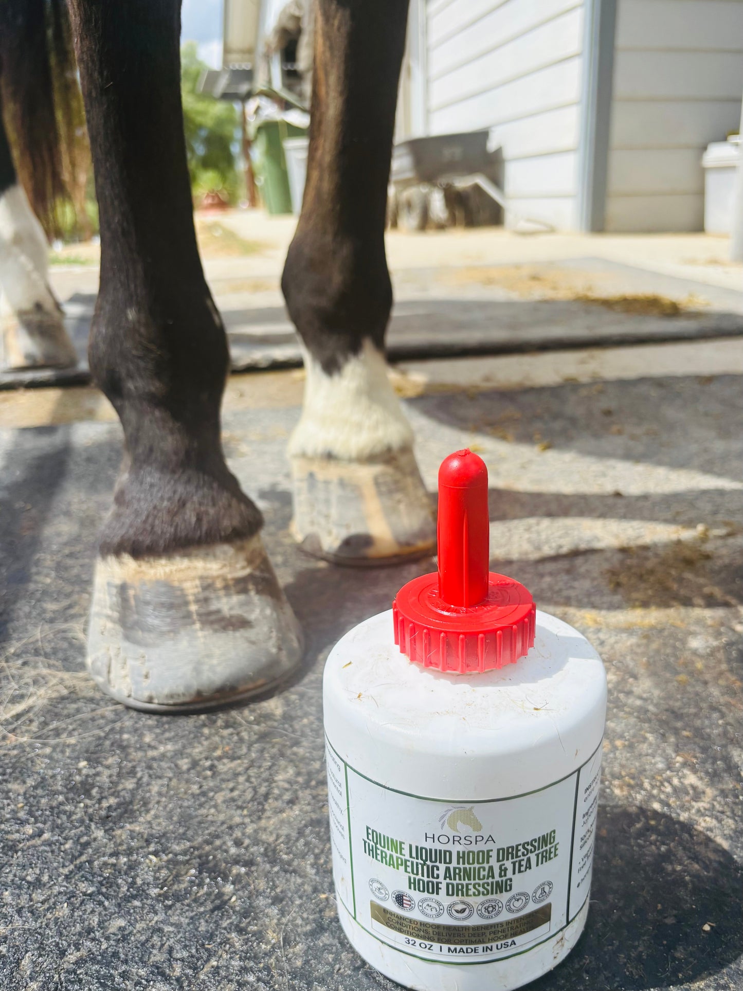 Bottle of horse hoof dressing with a red cap next to a horse's hooves on a concrete surface.