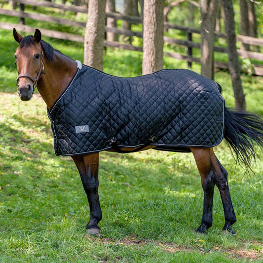 navy horse blanket