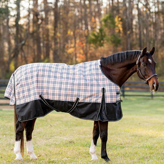 Horse wearing a plaid blanket in an outdoor setting with trees in the background
