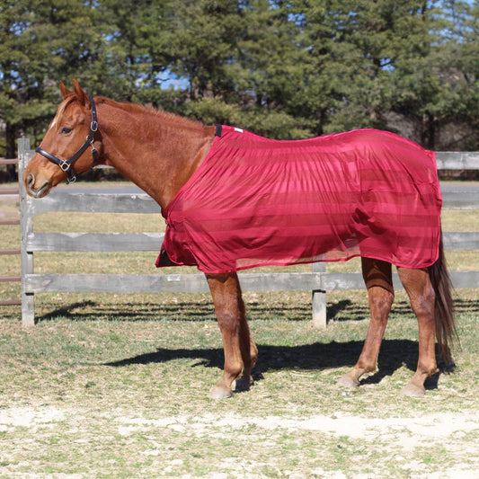 Horse wearing a red fly sheet in an outdoor setting with trees in the background