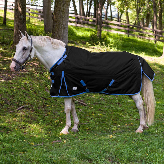 black and blue horse blanket