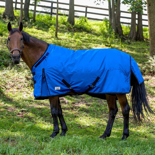 blue horse blanket
