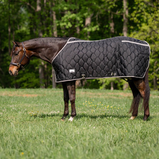 black horse blanket