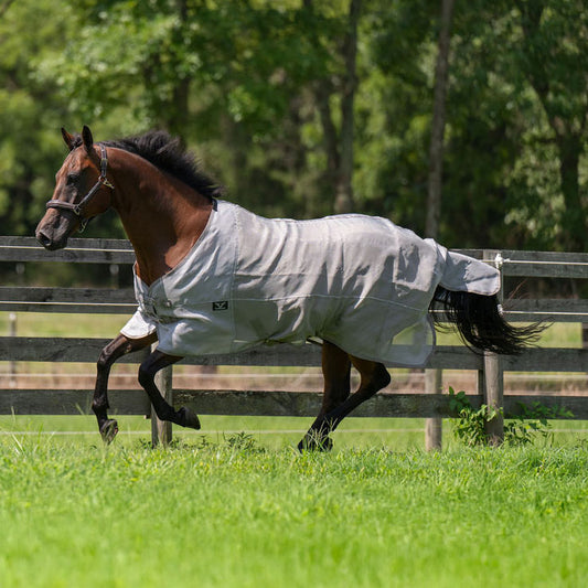 grey fly sheet