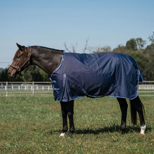blue turnout blanket