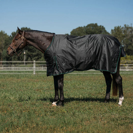 black turnout blanket