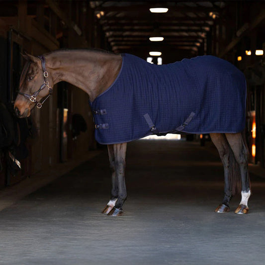 blue horse blanket