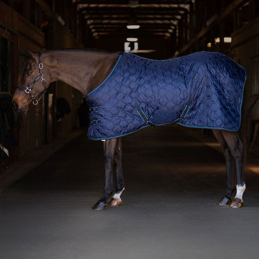 blue horse blanket