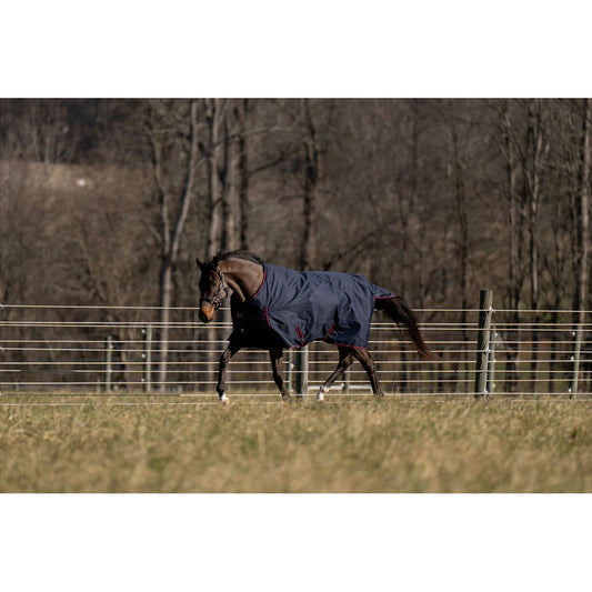 navy blue turnout blanket