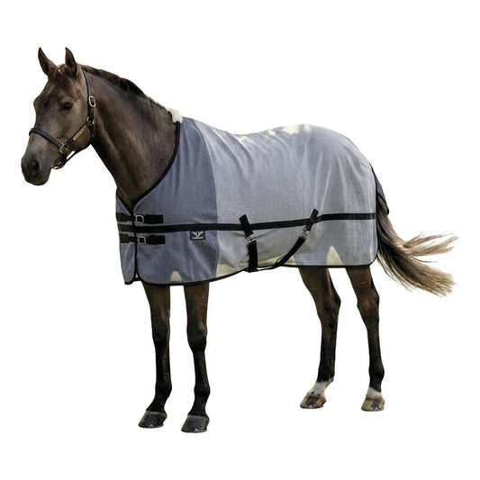 Horse wearing a gray fly sheet on a white background