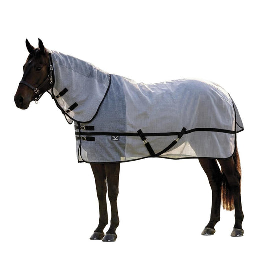 Horse wearing a gray fly sheet with black straps on a white background
