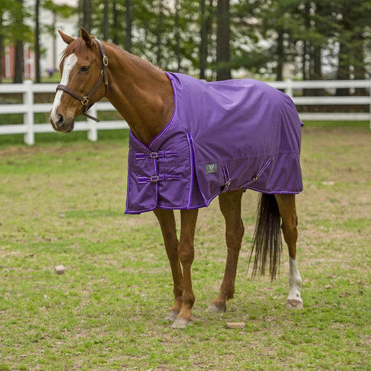 purple horse blanket