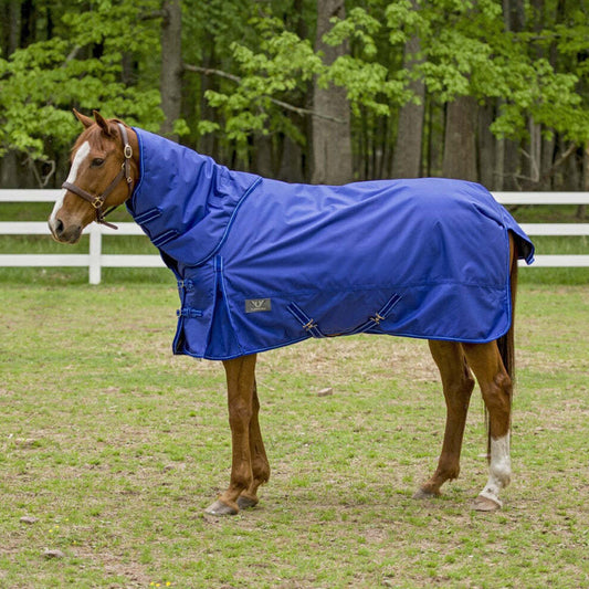 blue horse blanket